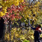 Godoy Cruz Acción Urbana